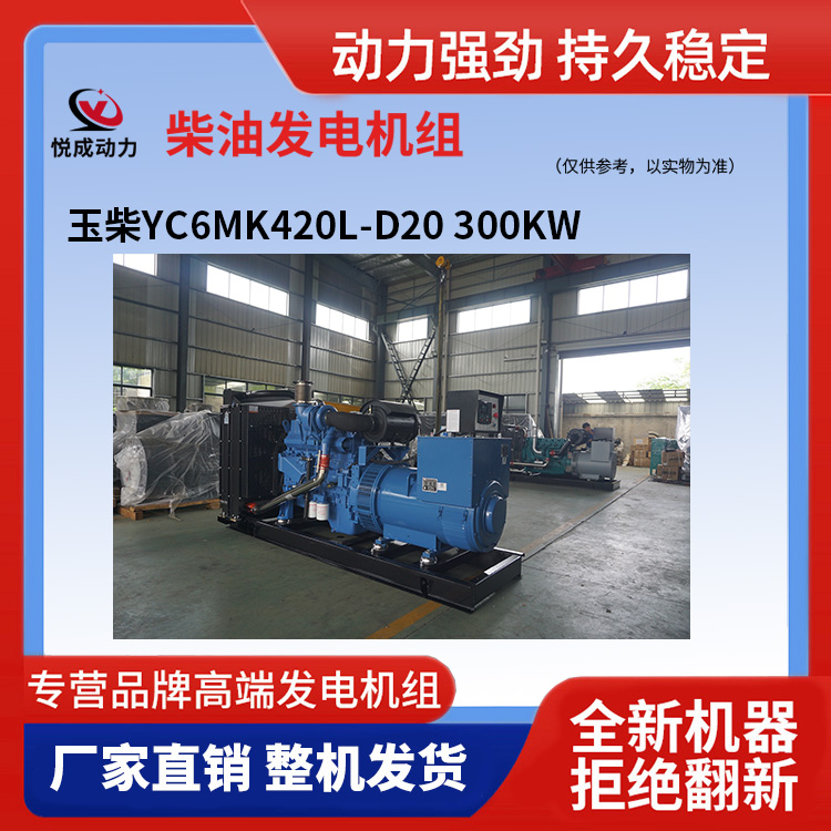 1689231502153488.jpg 玉柴YC6MK420L-D20 300KW 6.jpg